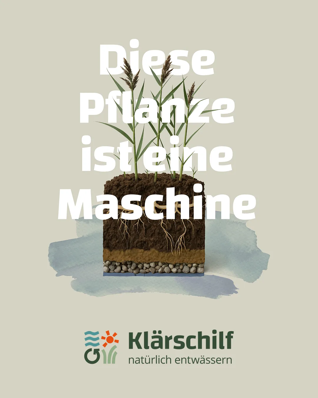Klärschilf logo with the slogan 'naturally dewater', alongside reeds and a dragonfly against a light blue background.